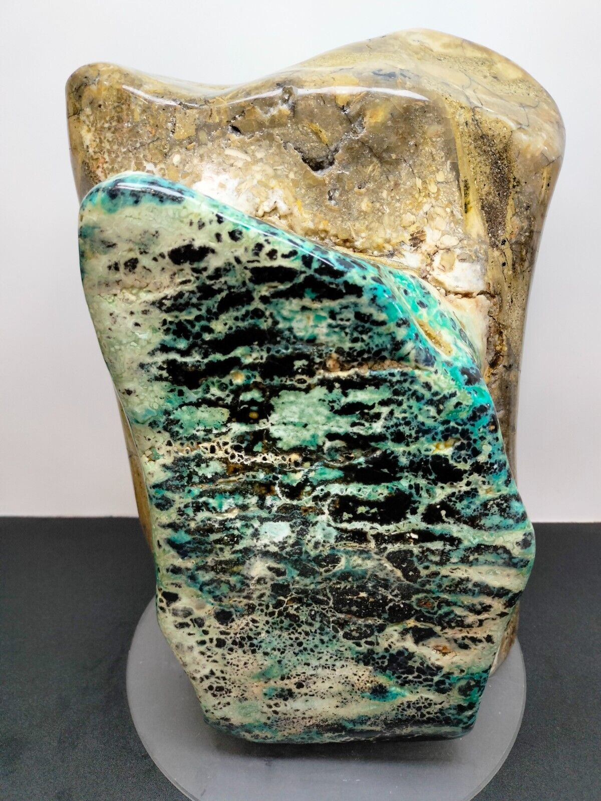 Very rare museum quality of blue chrysocolla on petrified wood 18kg 16x22x32cm