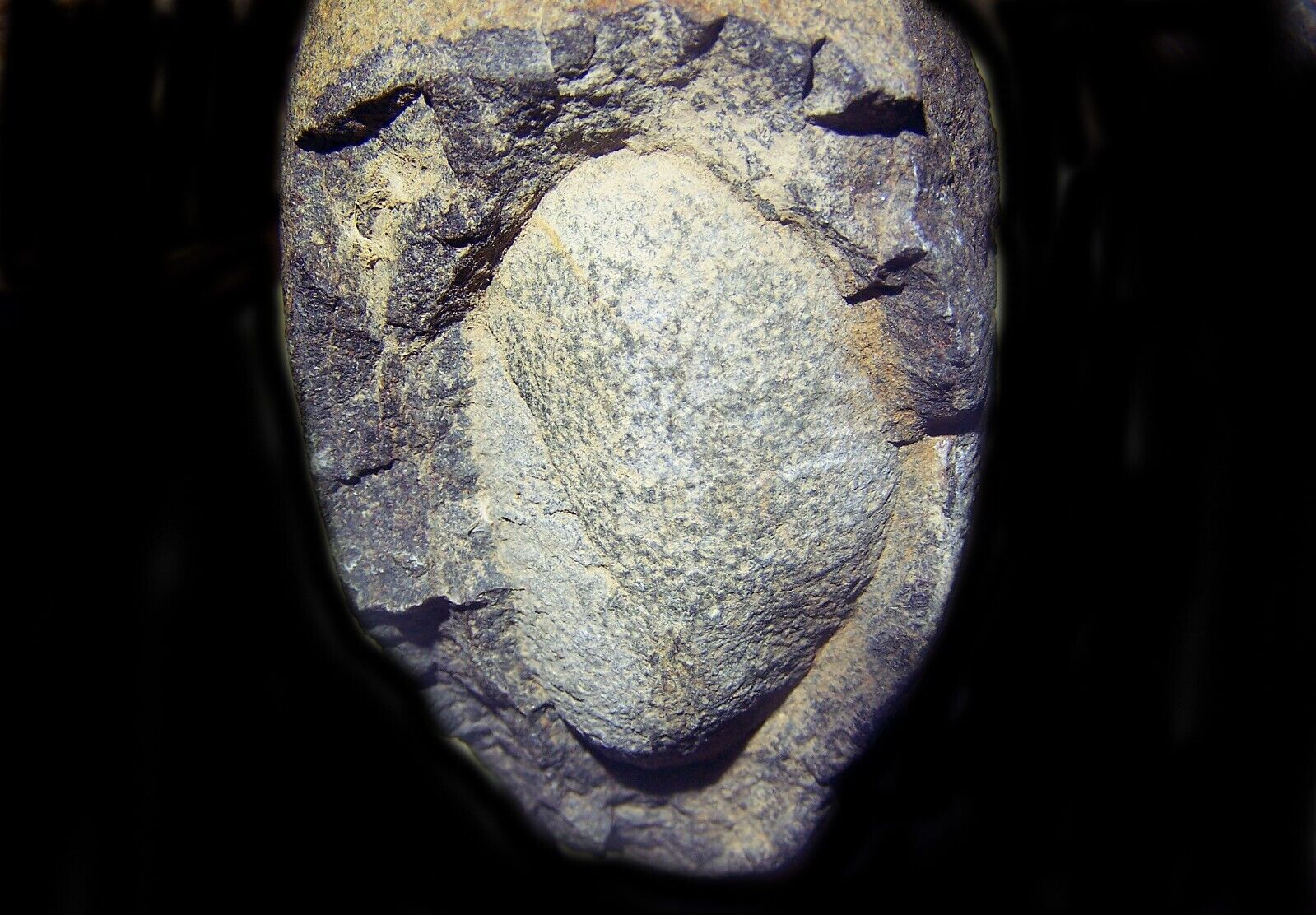 FOSSILIZED DINOSAUR EGG WITH MINERALIZED EMBRYO YOLK - VERY RARE.