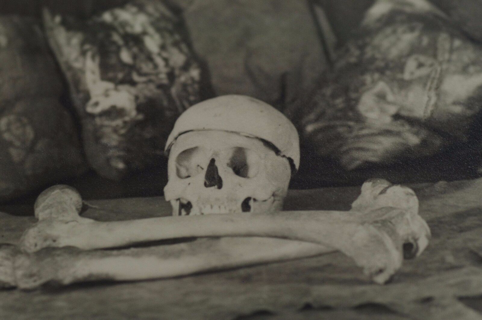Jewish Macabre Phi Delta Epsilon Skull and Bones University of Maryland photo 