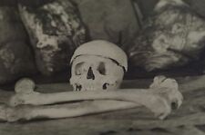 Jewish Macabre Phi Delta Epsilon Skull and Bones University of Maryland photo  picture