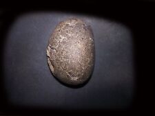 Authentic Dinosaur Egg Fossil - Quinault Indian Nation, Washington State picture