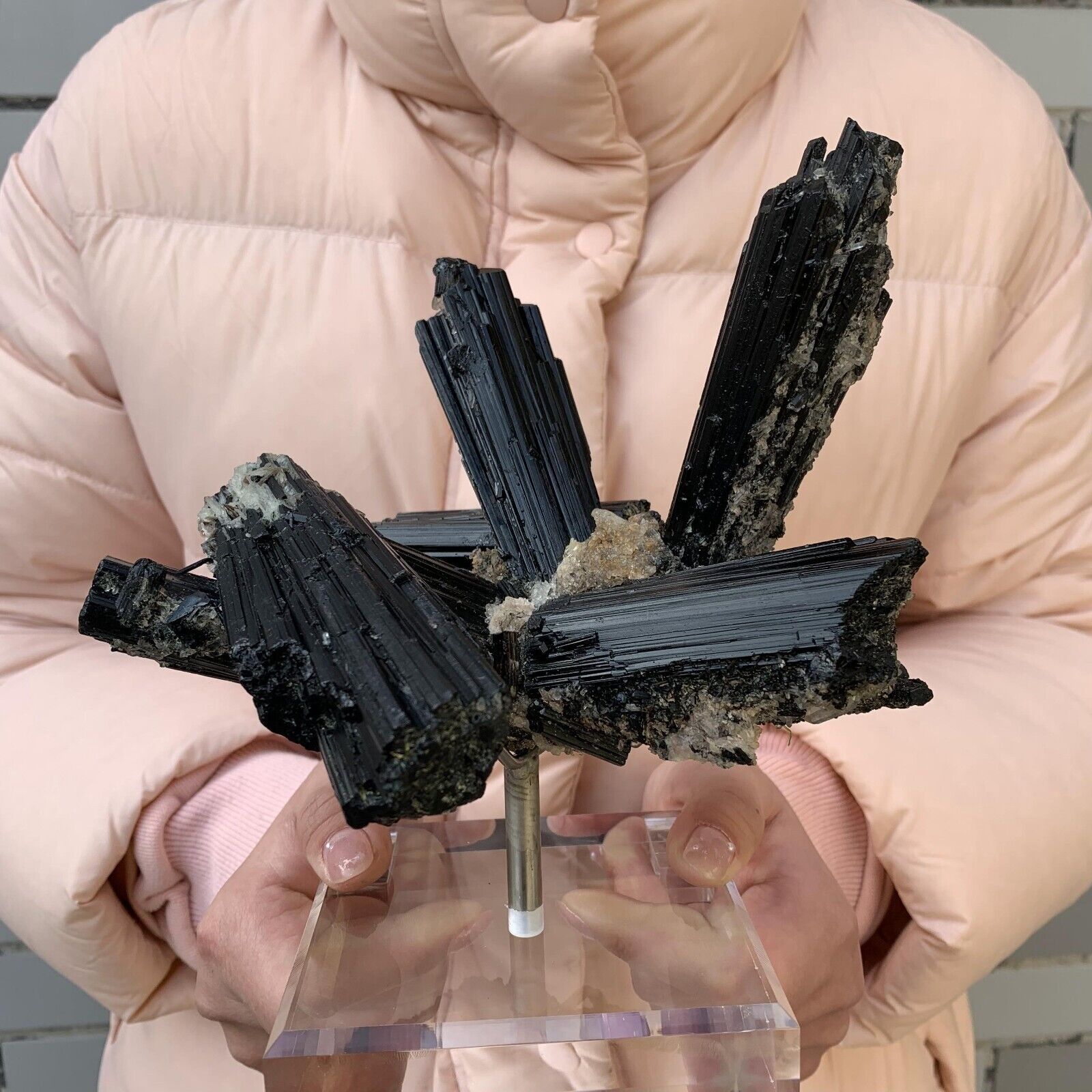 2.9lb Rare Natural Black Tourmaline Radial Mineral Rough Specimen CrystalHealing