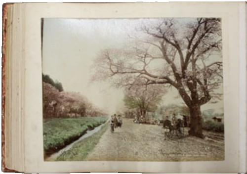 Kusakabe Kimbei Meiji Hand-Colored Photo Album w/Ivory Inlay, 47 Photos Japan