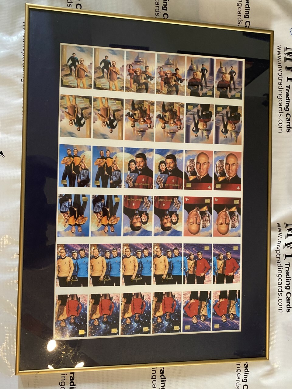 1994 SkyBox Star Trek 22x31 Master Series Custom Framed Uncut Chase Cards 1994 SkyBox Star Trek 22x31 Master Series Custom Framed Uncut Chase Cards