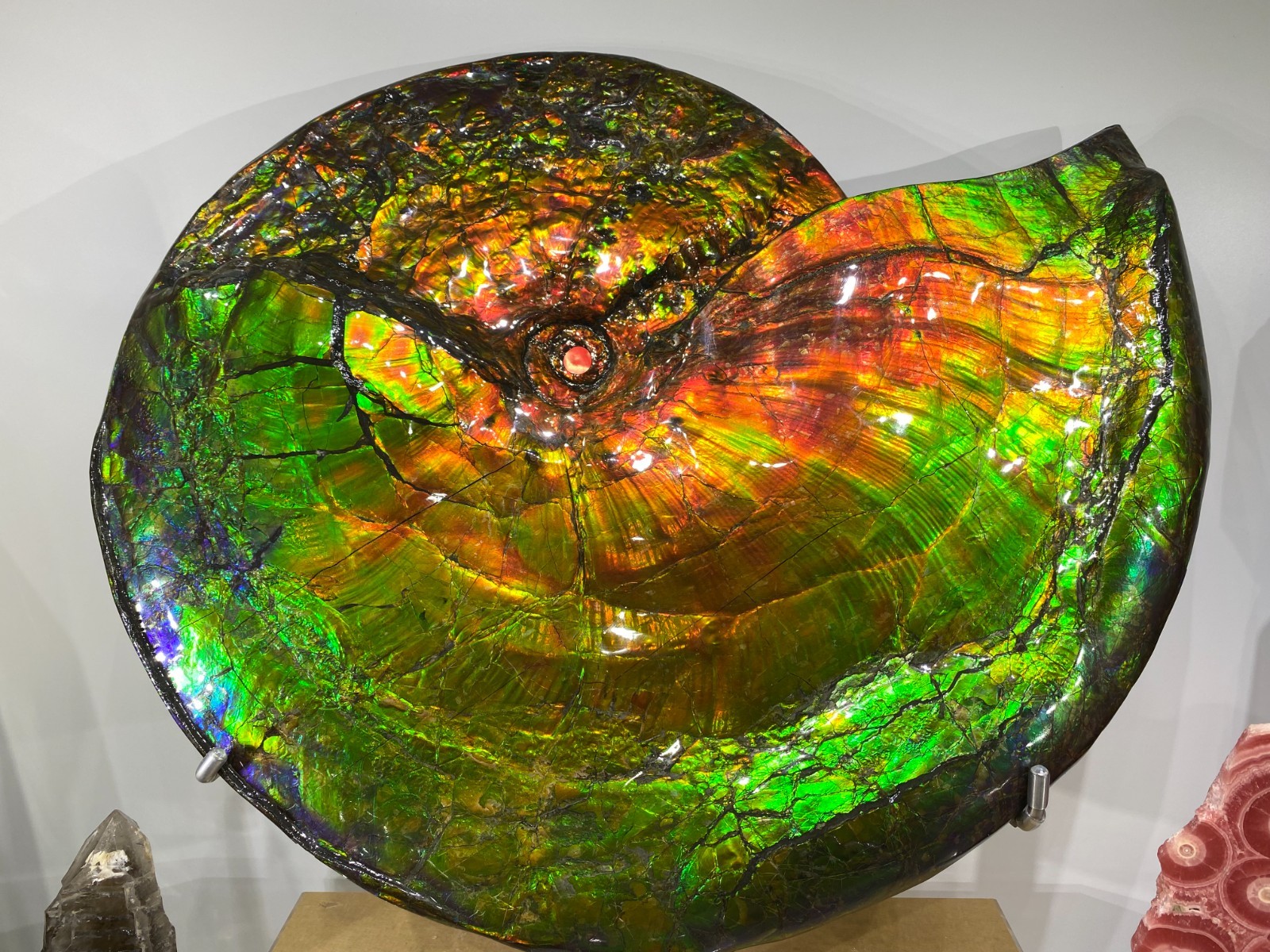 25.3LB Natural Rainbow Ammolite Fossil Quartz Crystals Mineral Canada Rough Gem 25.3LB Natural Rainbow Ammolite Fossil Quartz Crystals Mineral Canada Rough Gem