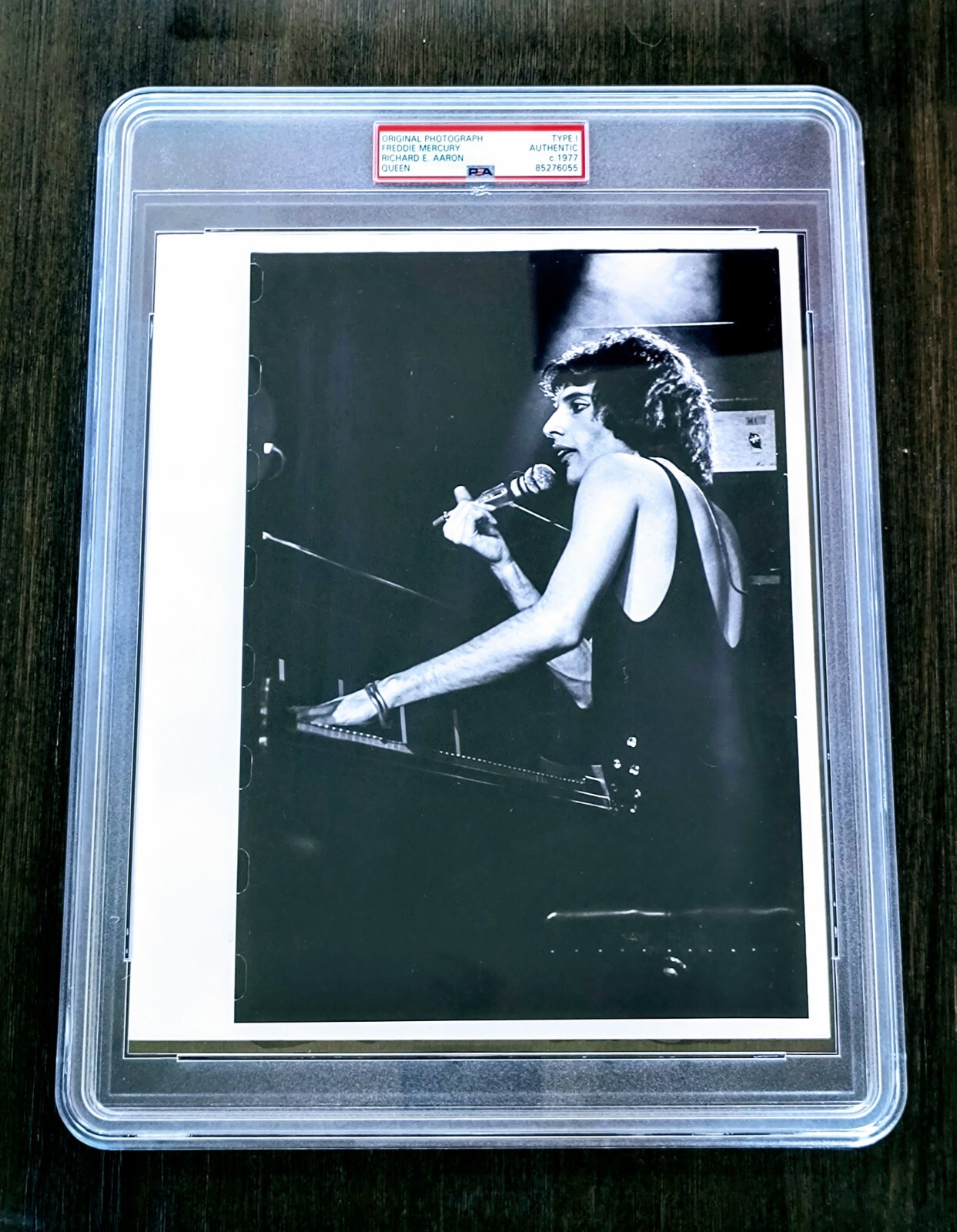 1977 Freddie Mercury 1977 Freddie Mercury
