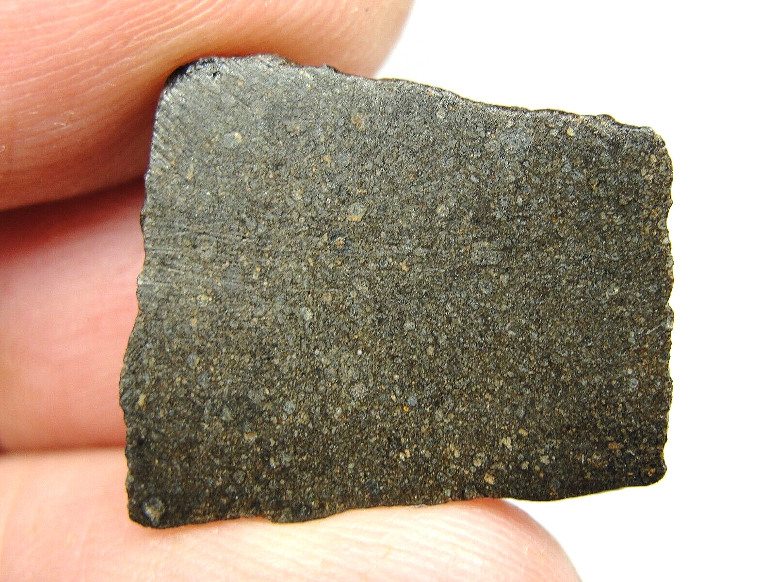 NWA 15937 Carbonaceous CO3.05 Chondrite - G741-0009 - 3.57g - #2 Ever - 100 CLUB NWA 15937 Carbonaceous CO3.05 Chondrite - G741-0009 - 3.57g - #2 Ever - 100 CLUB