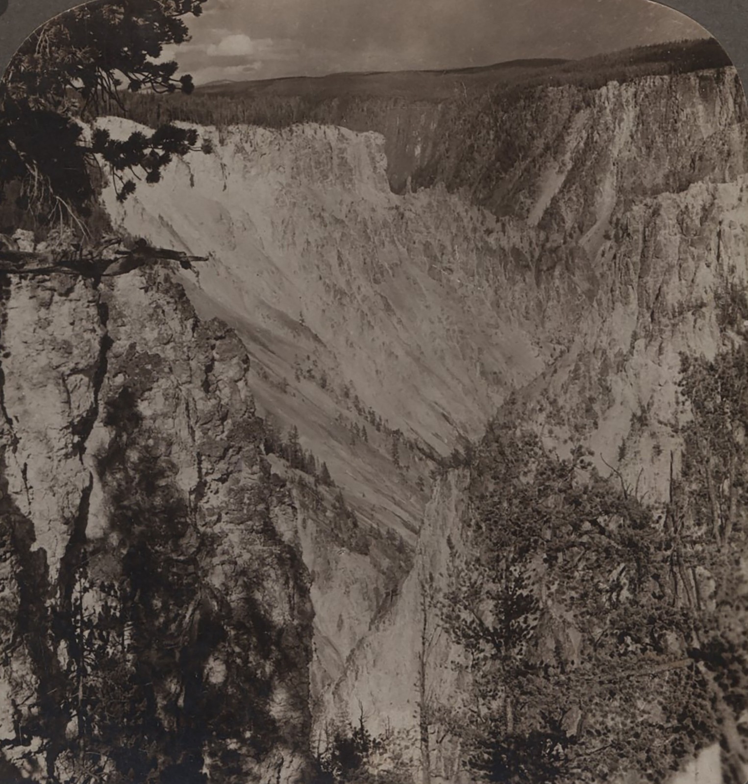 Incredible Heights of Canyon from Artist Point Underwood Stereoview c1900