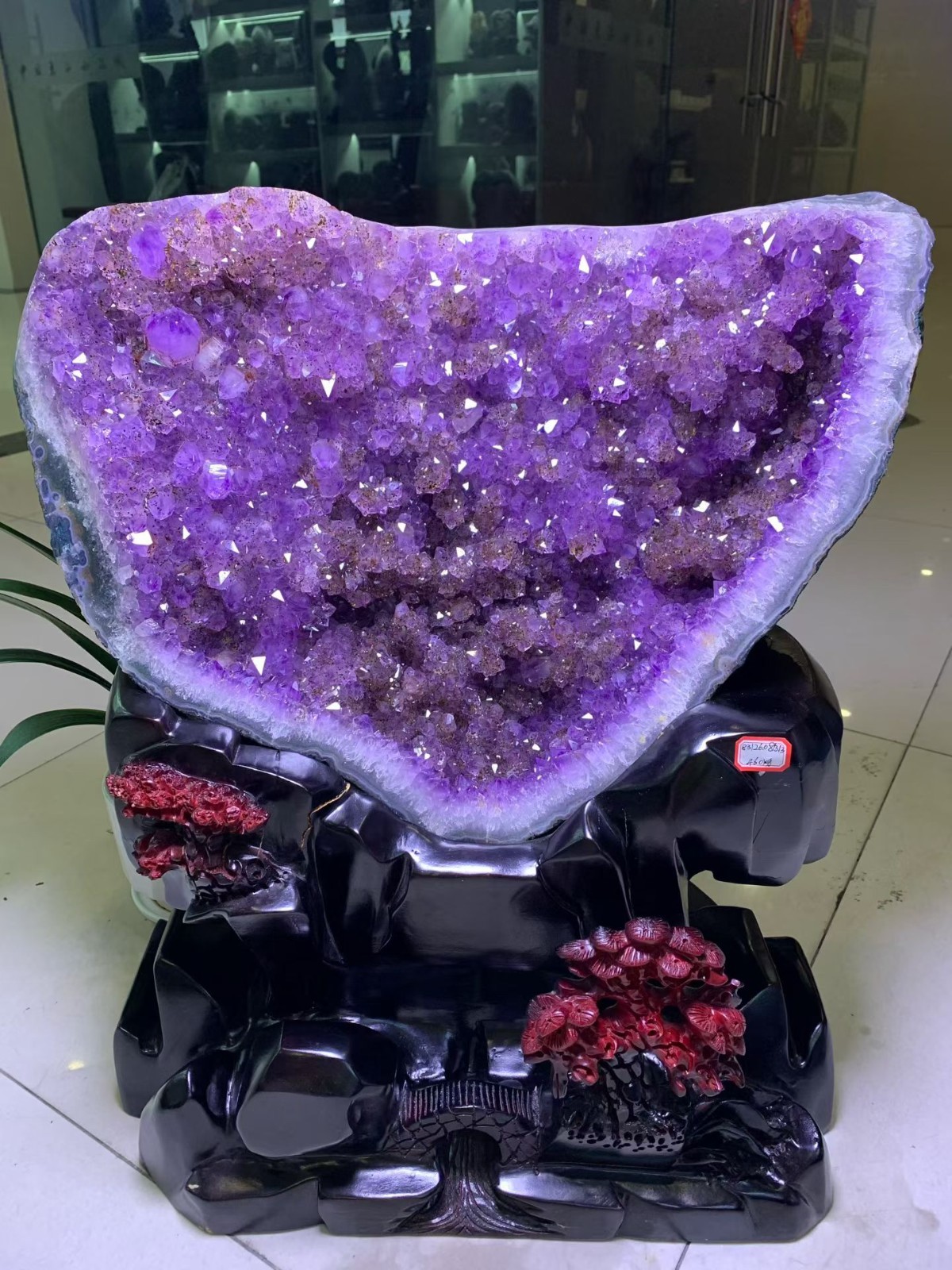 101LB Top Natural Uruguay Amethyst Geode cathedral Quartz Crystal  Decor+stand