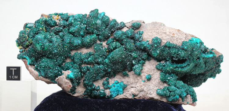 DIOPTASE WULFENITE Crystal Mineral Specimen Cluster Green Large Museum Quality
