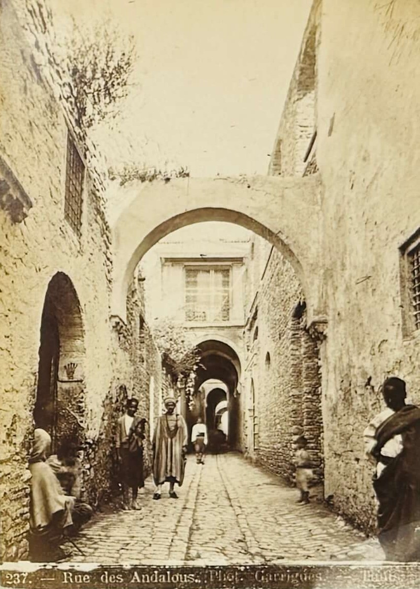 [TUNISIA]  Album of 92 Albumen Studio and Amateur Photos. Ca. 1890s-1910s