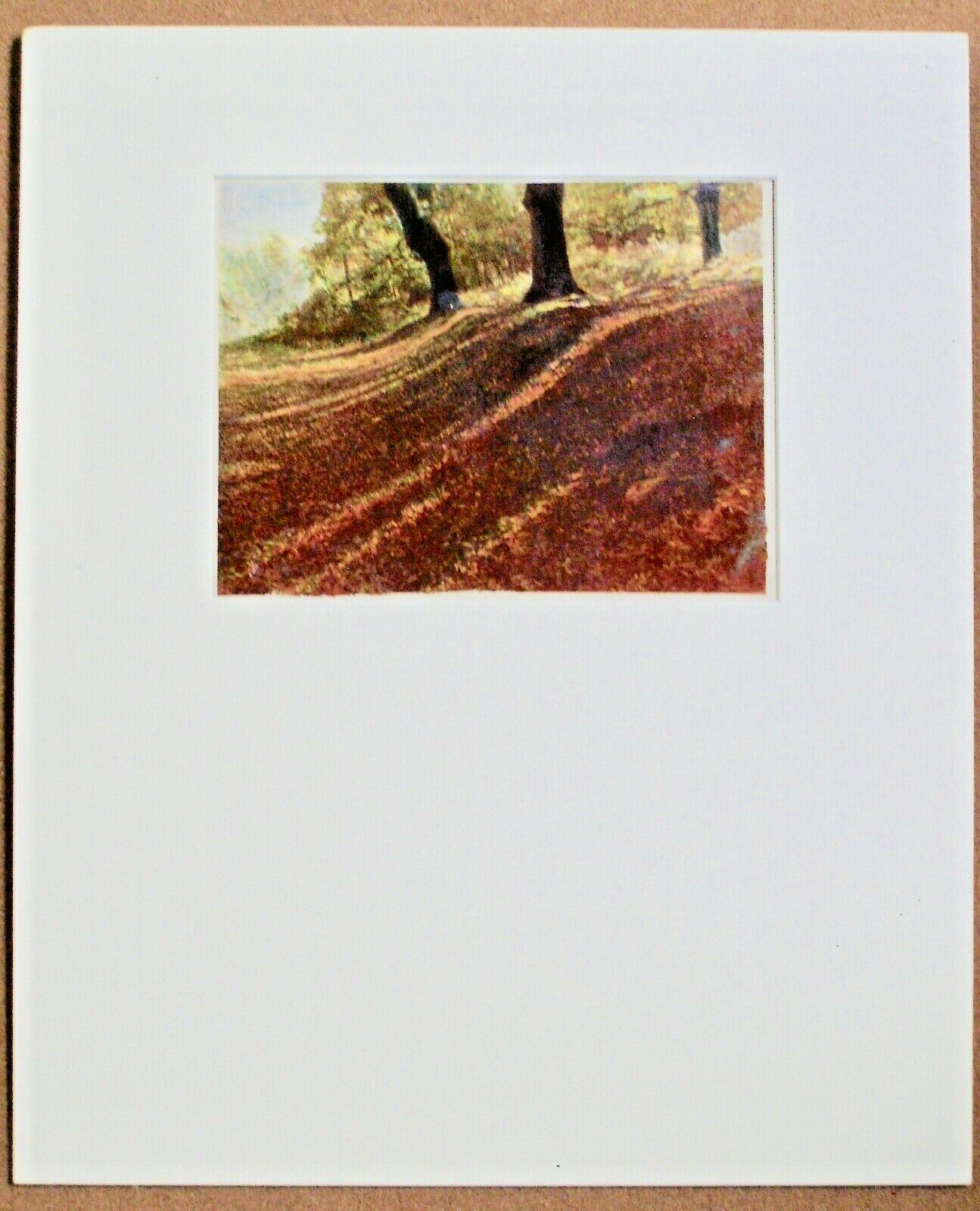 Lot of 10 Landscape Color Photos by Edith L. Wills, 1920s-30s, mounted, matted. Lot of 10 Landscape Color Photos by Edith L. Wills, 1920s-30s, mounted, matted.