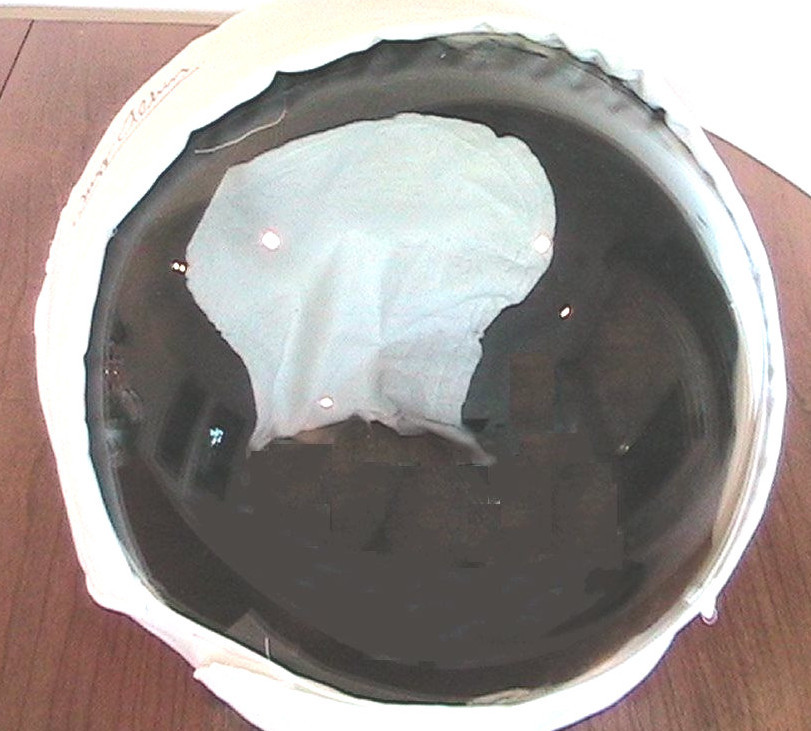 BUZZ ALDRIN AUTOGRAPHED REPLICA MOON HELMET 
