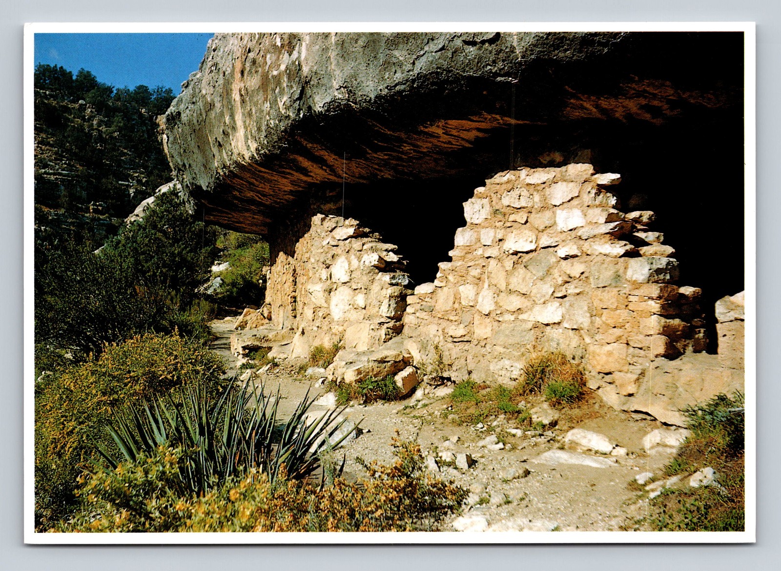 Walnut Canyon National Monument Arizona Sinagua Cliff Dwellings Postcard Walnut Canyon National Monument Arizona Sinagua Cliff Dwellings Postcard