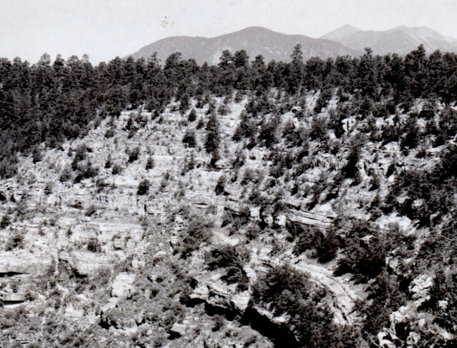 1938 View Up Walnut Canyon Observation Point Arizona RPPC Frashers Inc Postcard