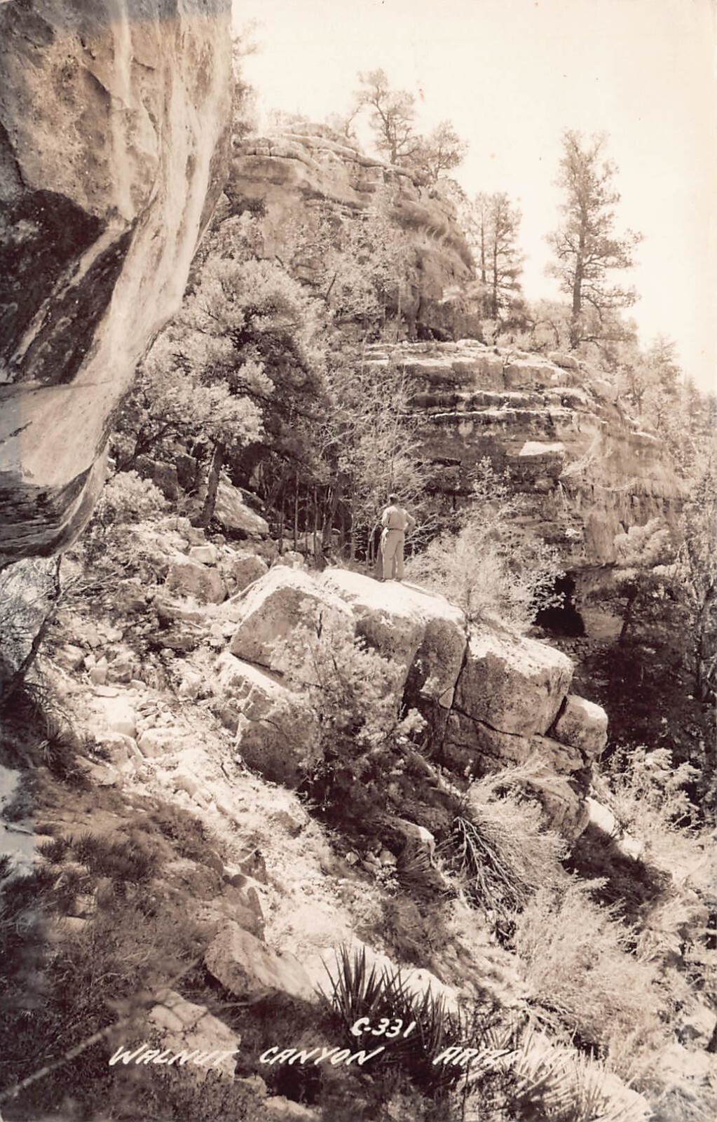 RPPC Walnut Canyon Arizona Sinagua Pueblo Cliff Dwellings Photo Vtg Postcard B62 RPPC Walnut Canyon Arizona Sinagua Pueblo Cliff Dwellings Photo Vtg Postcard B62
