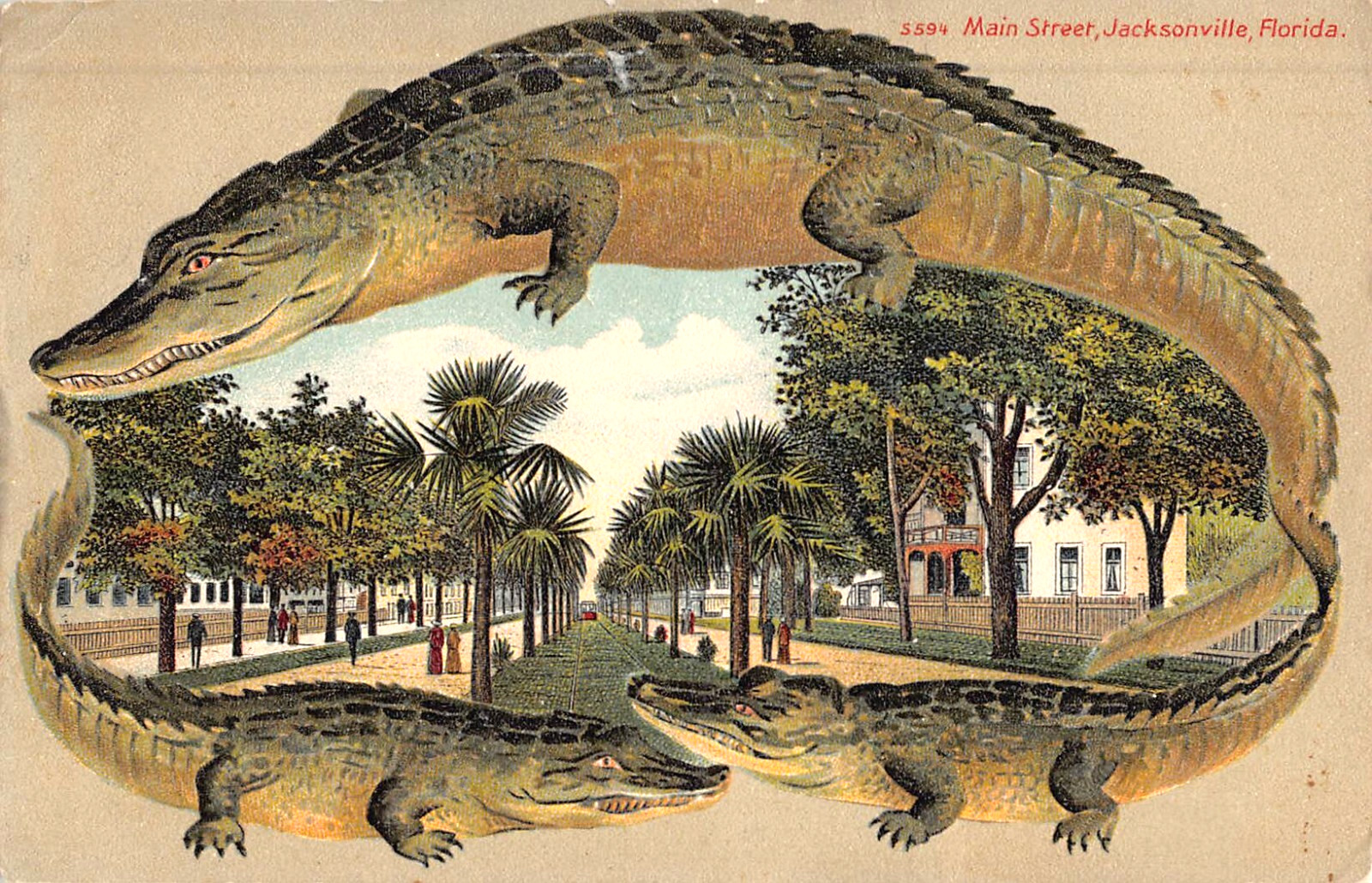 c.1909 Alligator Border Main St. Jacksonville FL post card c.1909 Alligator Border Main St. Jacksonville FL post card