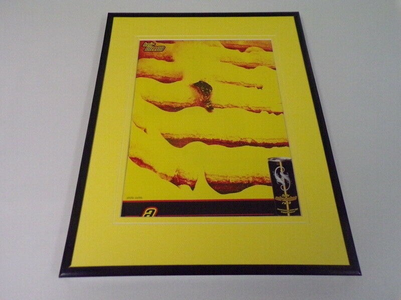 2001 Sobe Adrenaline Rush Framed 11x14 ORIGINAL Vintage Advertisement