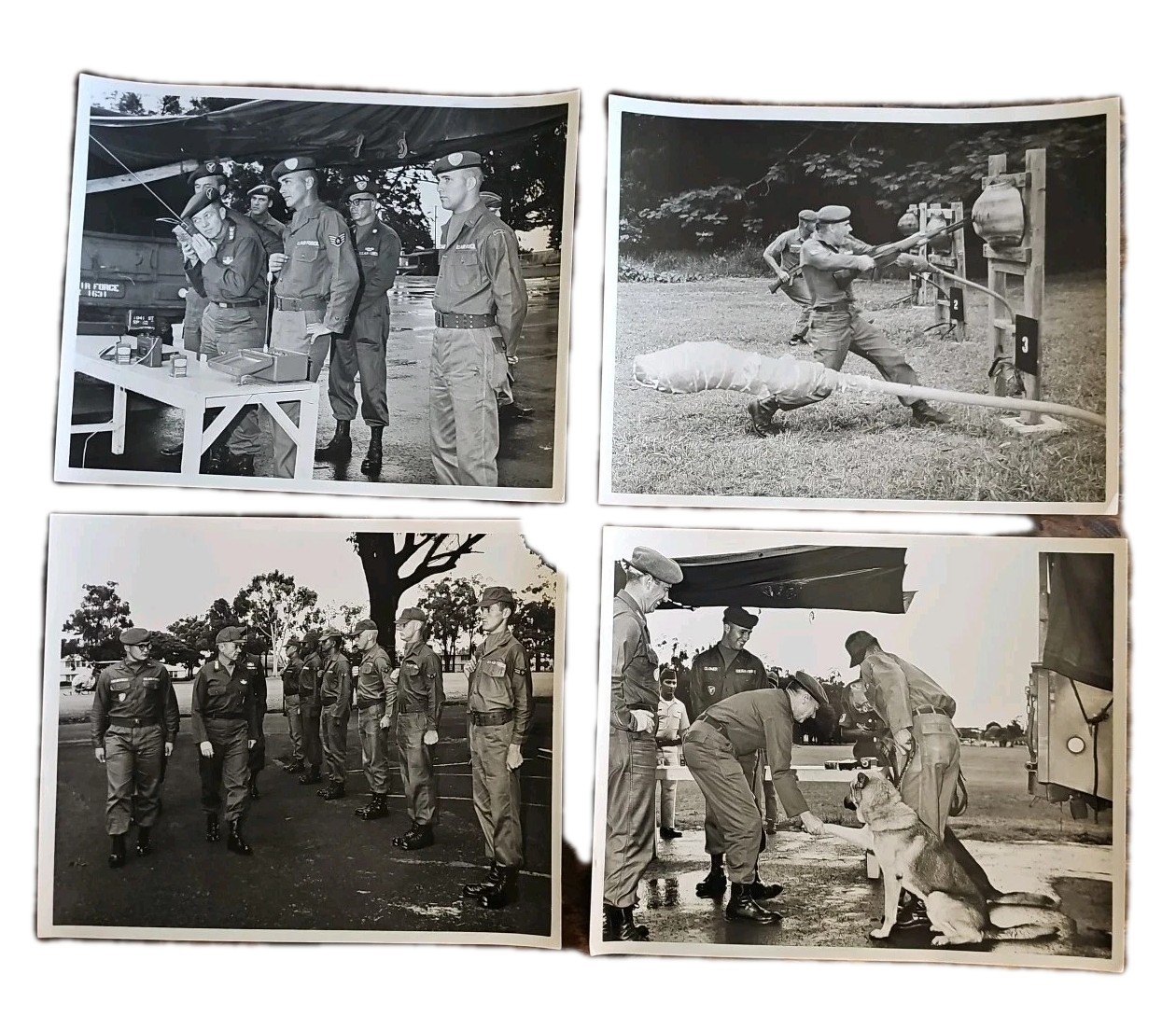 Vietnam War USAF K9 Photo Lot (29) Wheeler AFB Schofield Barracks Hawaii Vietnam War USAF K9 Photo Lot (29) Wheeler AFB Schofield Barracks Hawaii