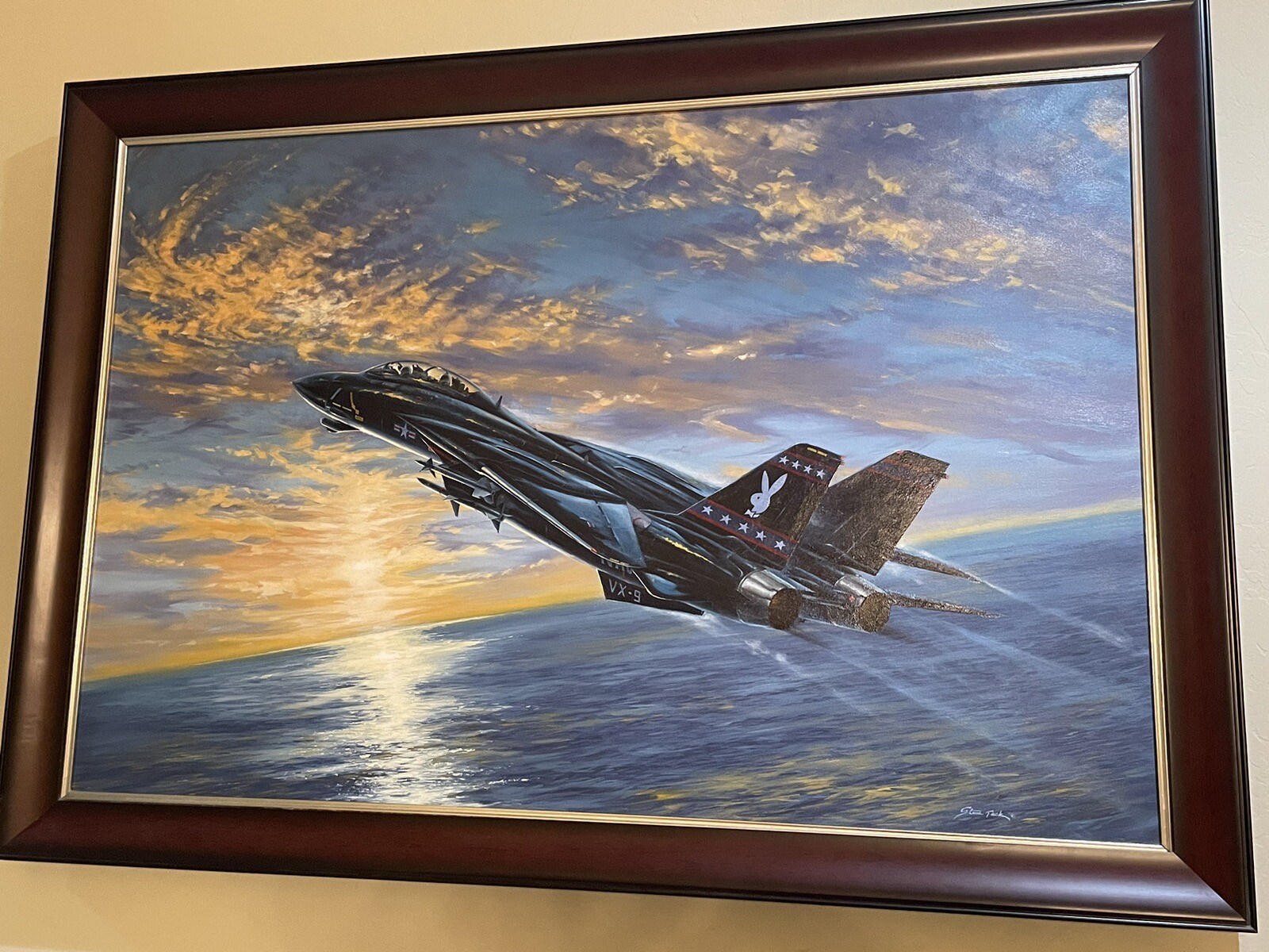 U.S. Navy VX-9 Vampires F-14 Tomcat Original Painting Playboy Bunny Logo Vandy 1