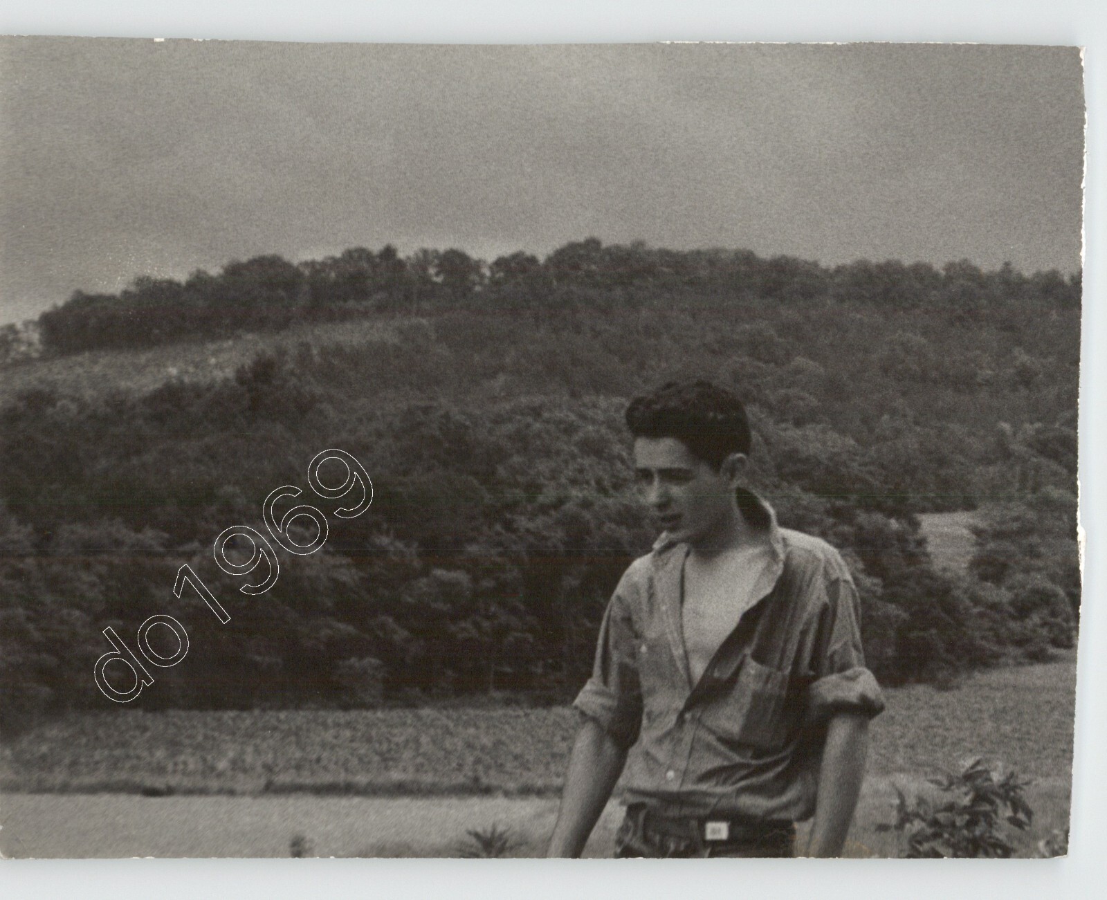 CANDID Portrait of TEENAGE Boy in Nature c.1950s PIX Press Photo CANDID Portrait of TEENAGE Boy in Nature c.1950s PIX Press Photo