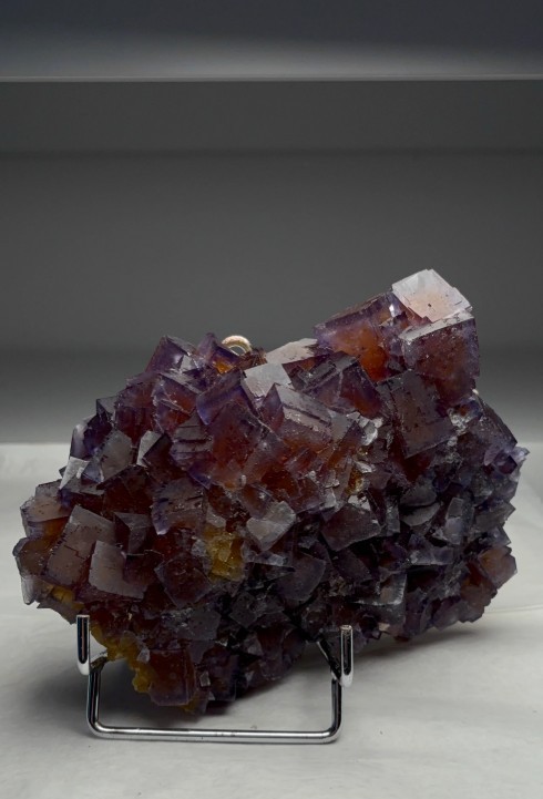 Amazing Blue & Yellow Fluorite – Classic French Locality Amazing Blue & Yellow Fluorite – Classic French Locality