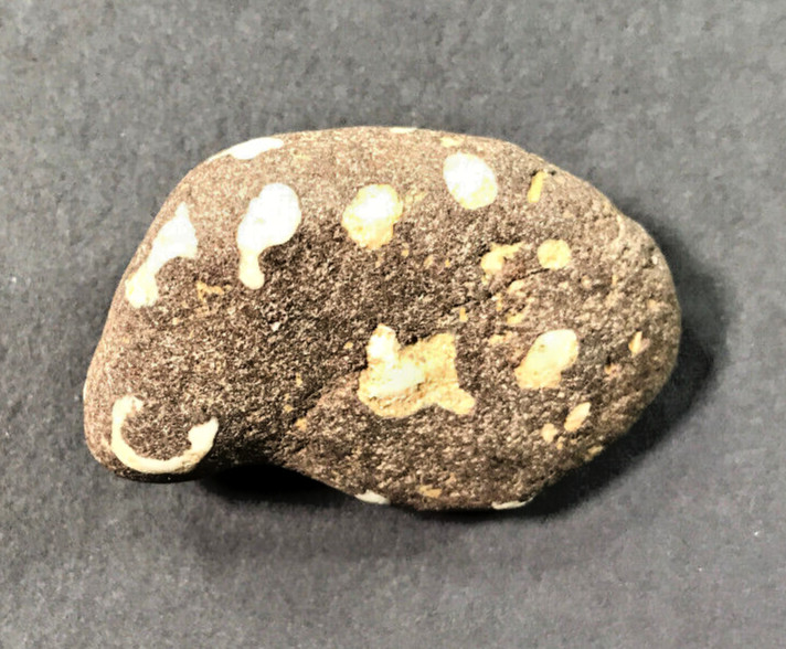 ONE OF A KIND Very unique rock with naturally occurring letters and numbers. ONE OF A KIND Very unique rock with naturally occurring letters and numbers.