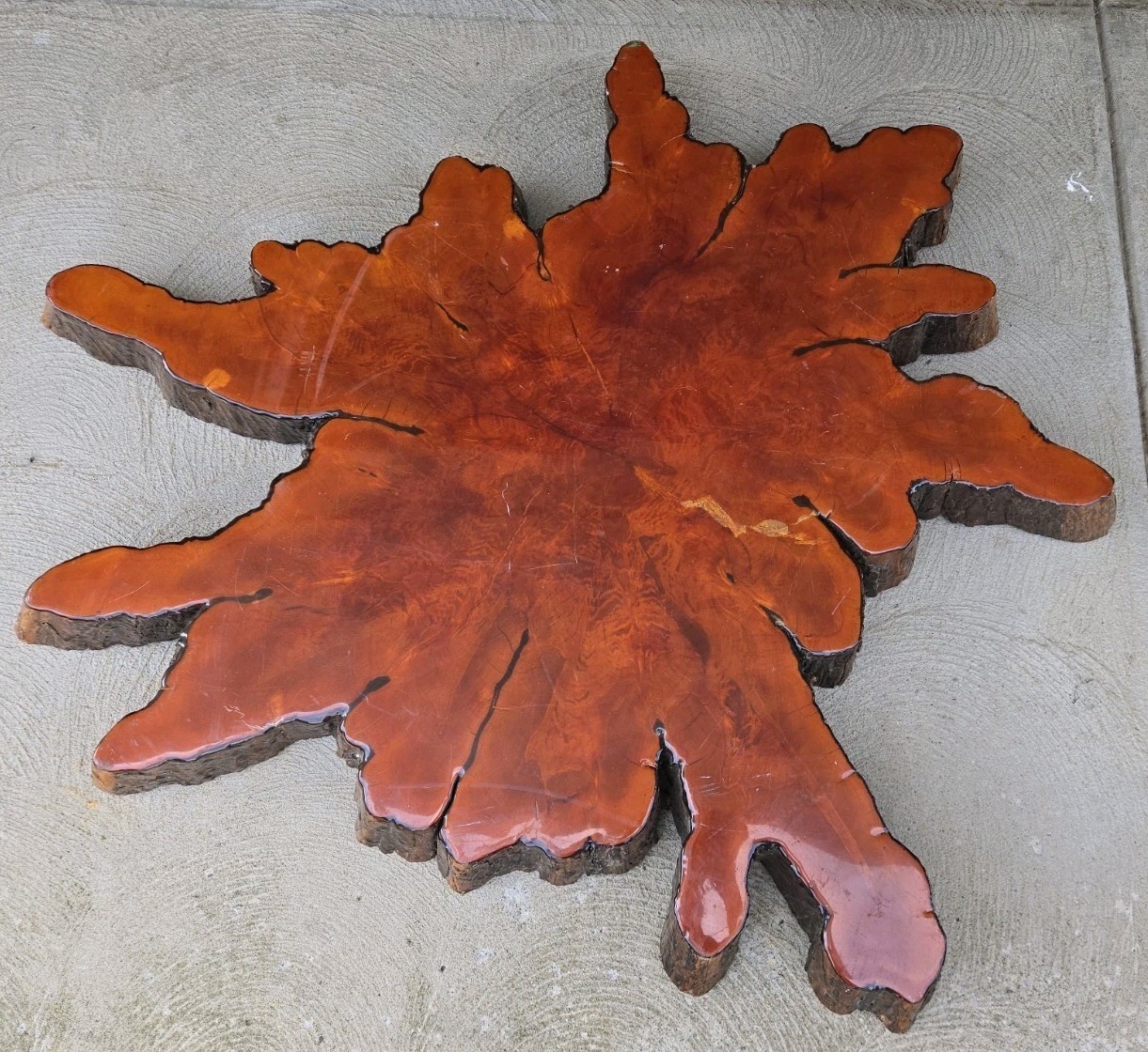 Vintage CYPRESS Slab Red Wood Live Edge Side Lacquered MCM Starburst Wall Art Vintage CYPRESS Slab Red Wood Live Edge Side Lacquered MCM Starburst Wall Art