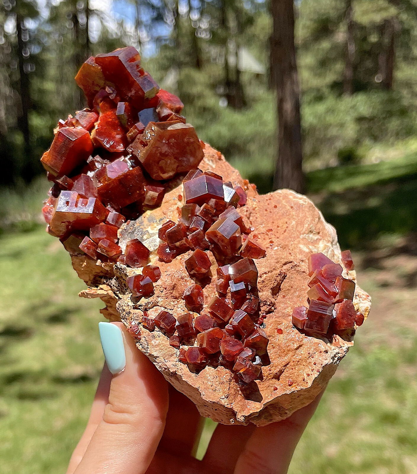 Vanadinite Large Bright Red Crystals On Matrix From Morocco   11.5 Cms