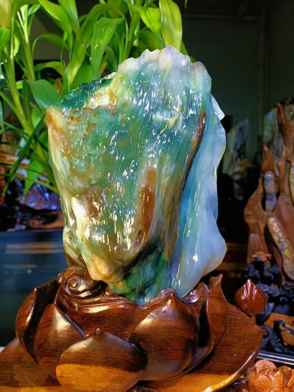 6.24 BEST Emerald Ice Grade Silicified Wood Jade Petrified Wood Crystal Specimen 6.24 BEST Emerald Ice Grade Silicified Wood Jade Petrified Wood Crystal Specimen