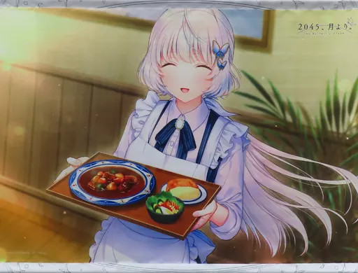 Melon Books Entergram 2045 From March PS4 Switch B2 Tapestry Gift