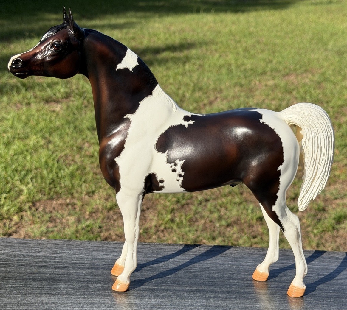 Breyer BreyerFest 2015 Raffle Model Que Sera Sera Proud Arabian Special Run