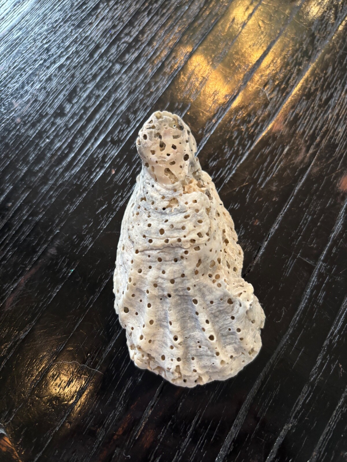 Virgin Mary holding Jesus resemblance found seashell Virgin Mary holding Jesus resemblance found seashell