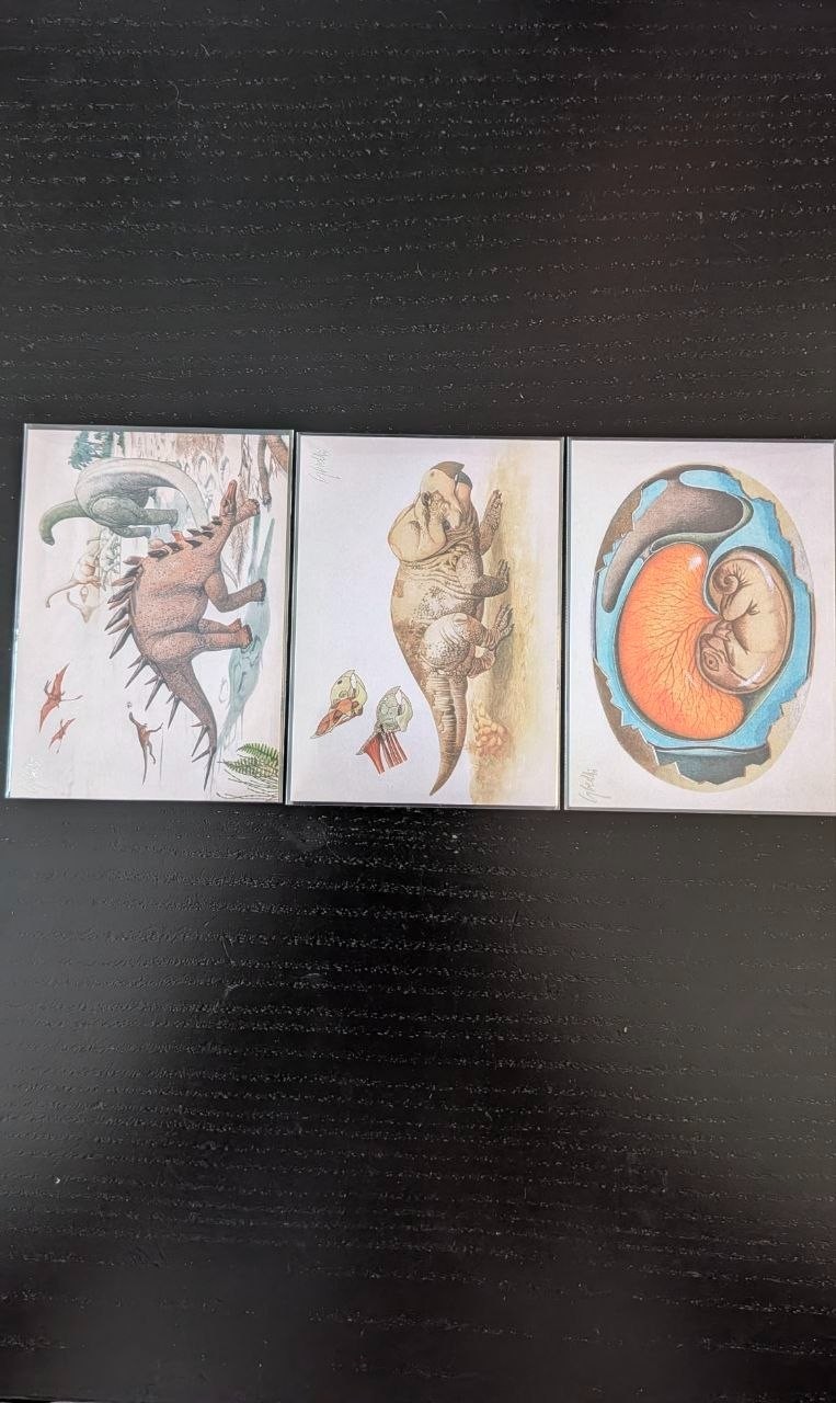 Release The Creatures: Dinosaurs - Mancolista Special Cards and Tier A/B/C Release The Creatures: Dinosaurs - Mancolista Special Cards and Tier A/B/C
