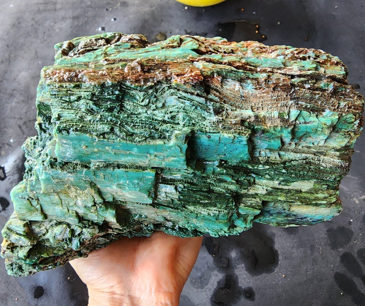 6.88 lbs (3.12 kg) Collawood, Colla Wood, Opalized Petrified Wood Rough, Fossil 6.88 lbs (3.12 kg) Collawood, Colla Wood, Opalized Petrified Wood Rough, Fossil