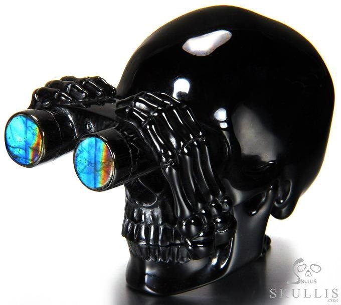 July 10, 2014 ACSAD (A Crystal Skull a Day) - Looking to the Future - Black July 10, 2014 ACSAD (A Crystal Skull a Day) - Looking to the Future - Black
