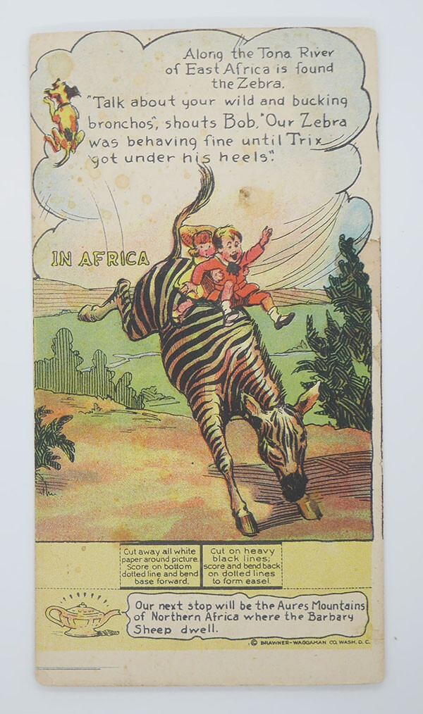 1920's D27 Dottie, Bob & Trix Zebra - Africa 1920's D27 Dottie, Bob & Trix Zebra - Africa