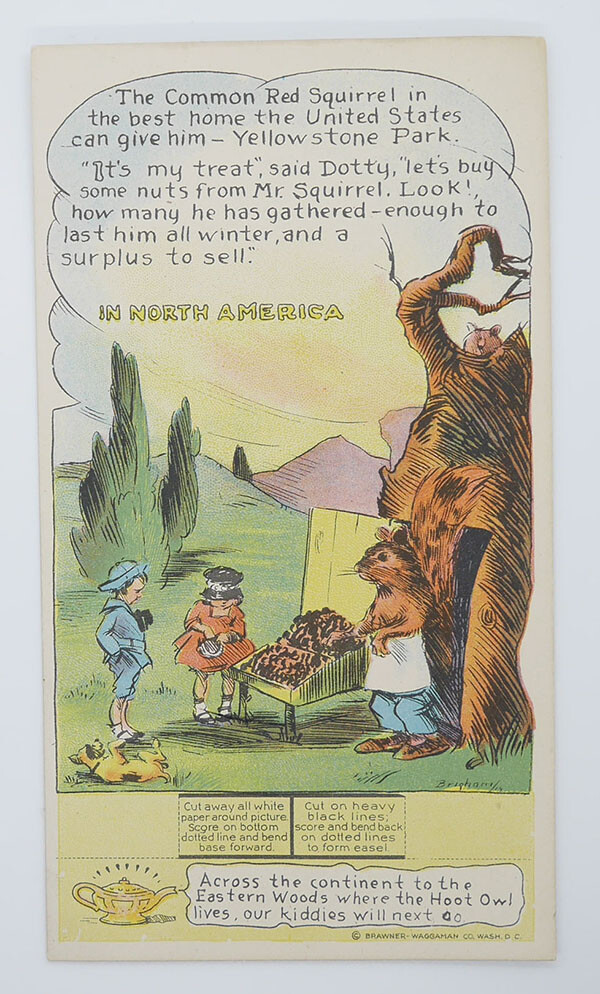 1920's D27 Dottie, Bob & Trix The Common Red Squirrel - In North America 1920's D27 Dottie, Bob & Trix The Common Red Squirrel - In North America