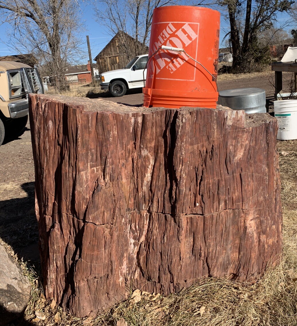 ☘️RR⚒: GIANT Petrified Wood Stump, Tons Of Character, NE AZ. 38”x 33” X 27” ☘️RR⚒: GIANT Petrified Wood Stump, Tons Of Character, NE AZ. 38”x 33” X 27”