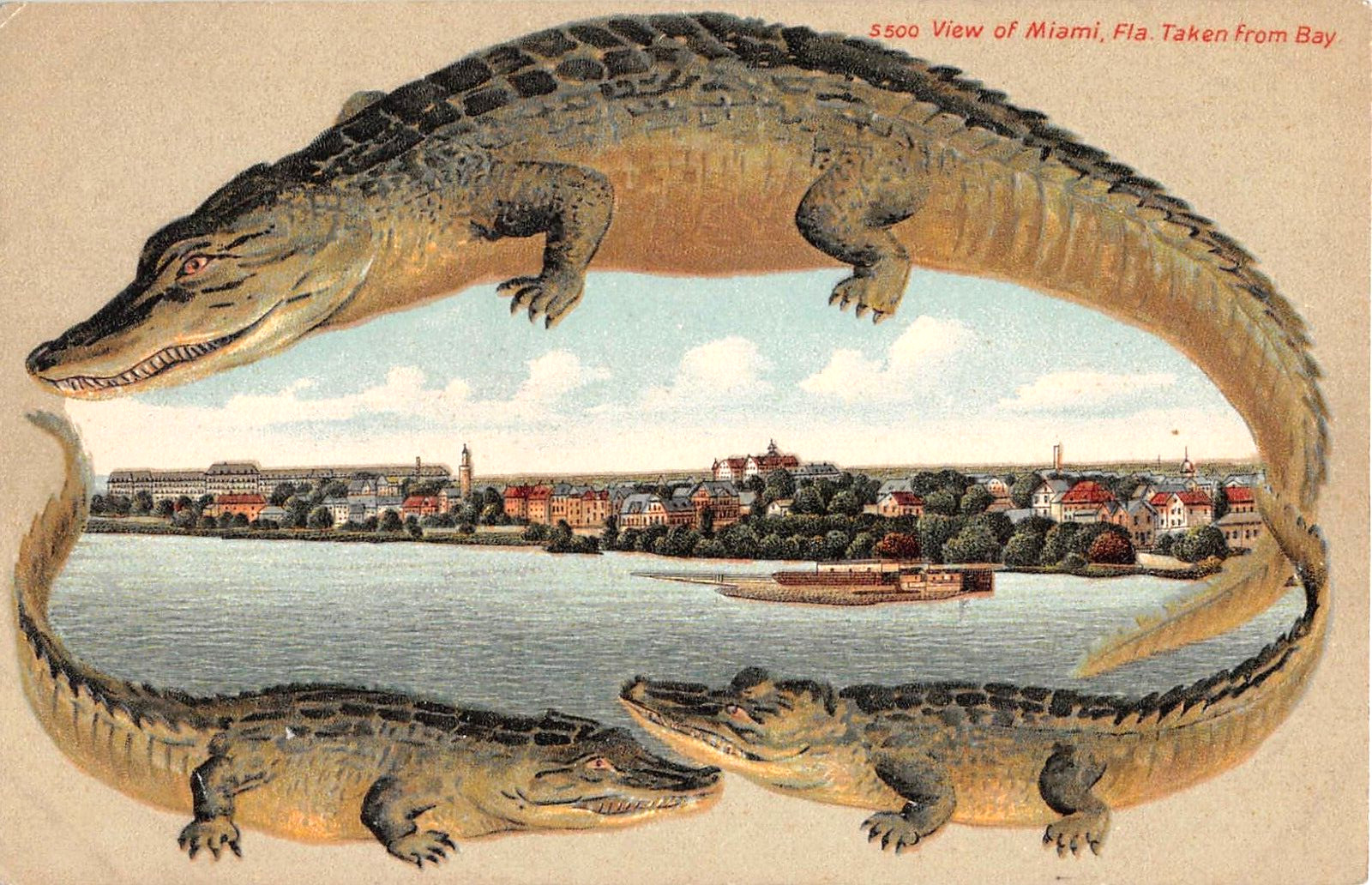 c.1909 Alligator Border Waterfront from Bay Miami FL post card c.1909 Alligator Border Waterfront from Bay Miami FL post card