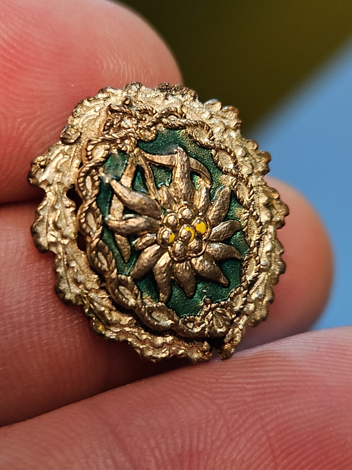 rare 1st Mountain Division Wehrmacht German WW2 Edelweiss Gebirgsjager Pin 19d34