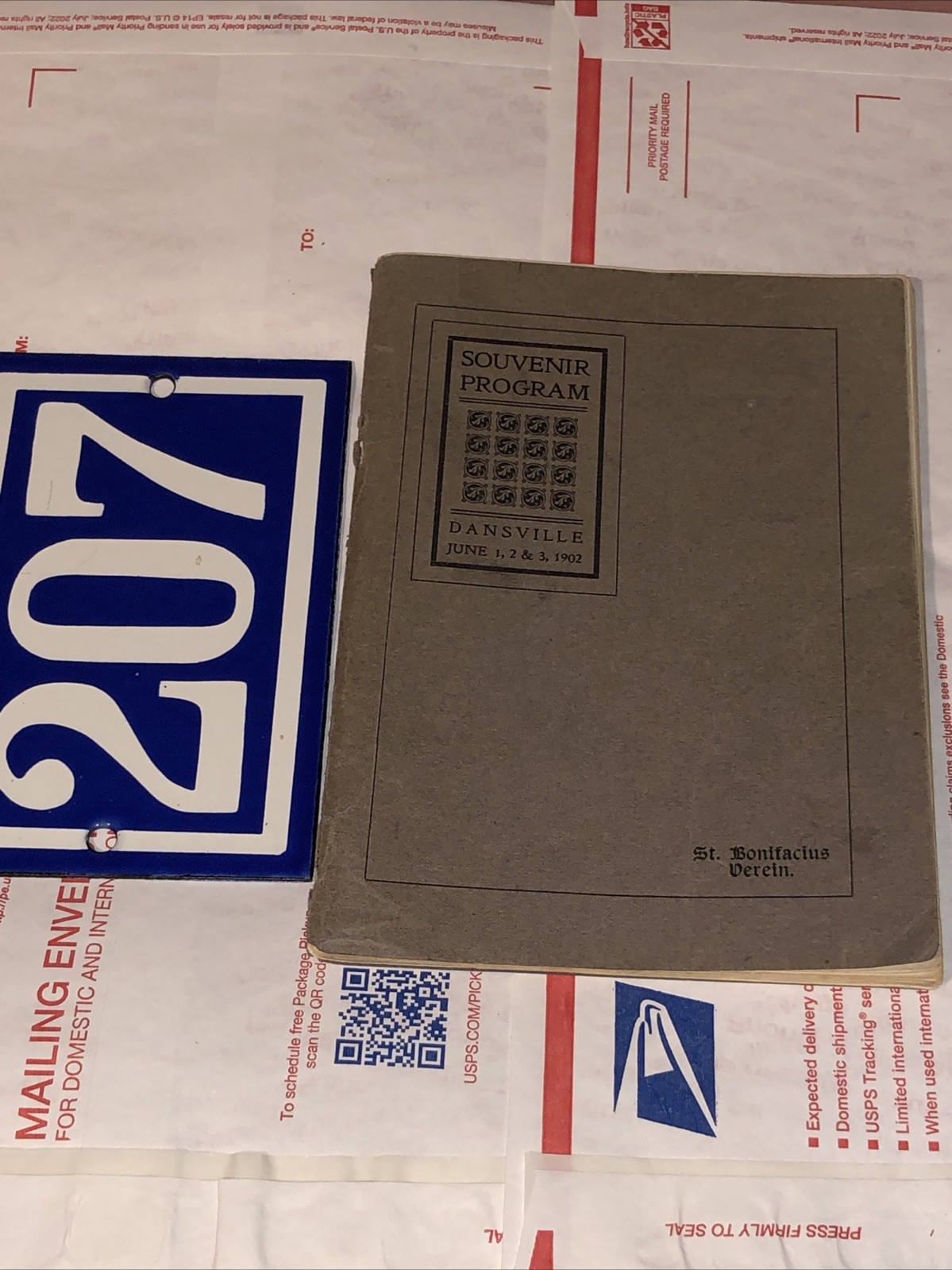 VTG 1900s Dansville NY Souvenir Program booklet advertising￼ Historic Photograph