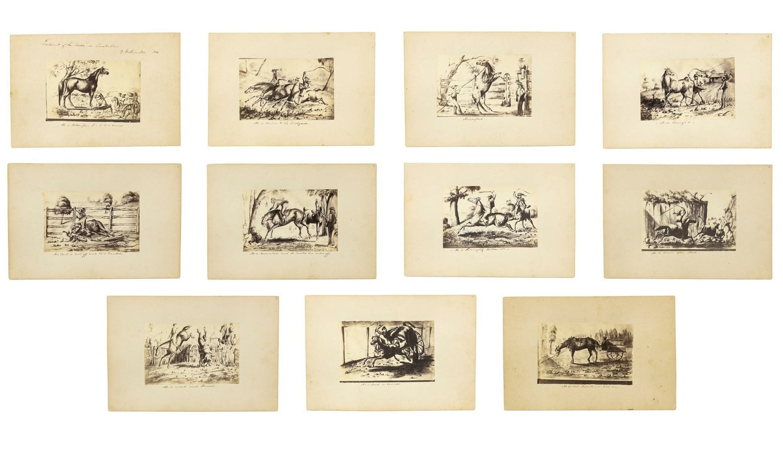 George HAMILTON / 'Treatment of the Horse in Australia | by Geo Hamilton 1864' George HAMILTON / 'Treatment of the Horse in Australia | by Geo Hamilton 1864'