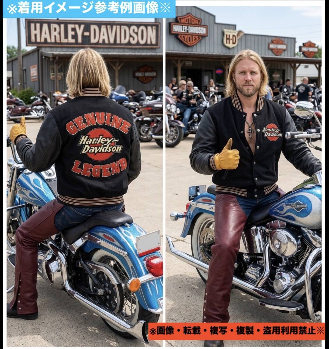 Rare Limited Edition Hard To Get Model Extreme Harley-Davidson Large Embroidered