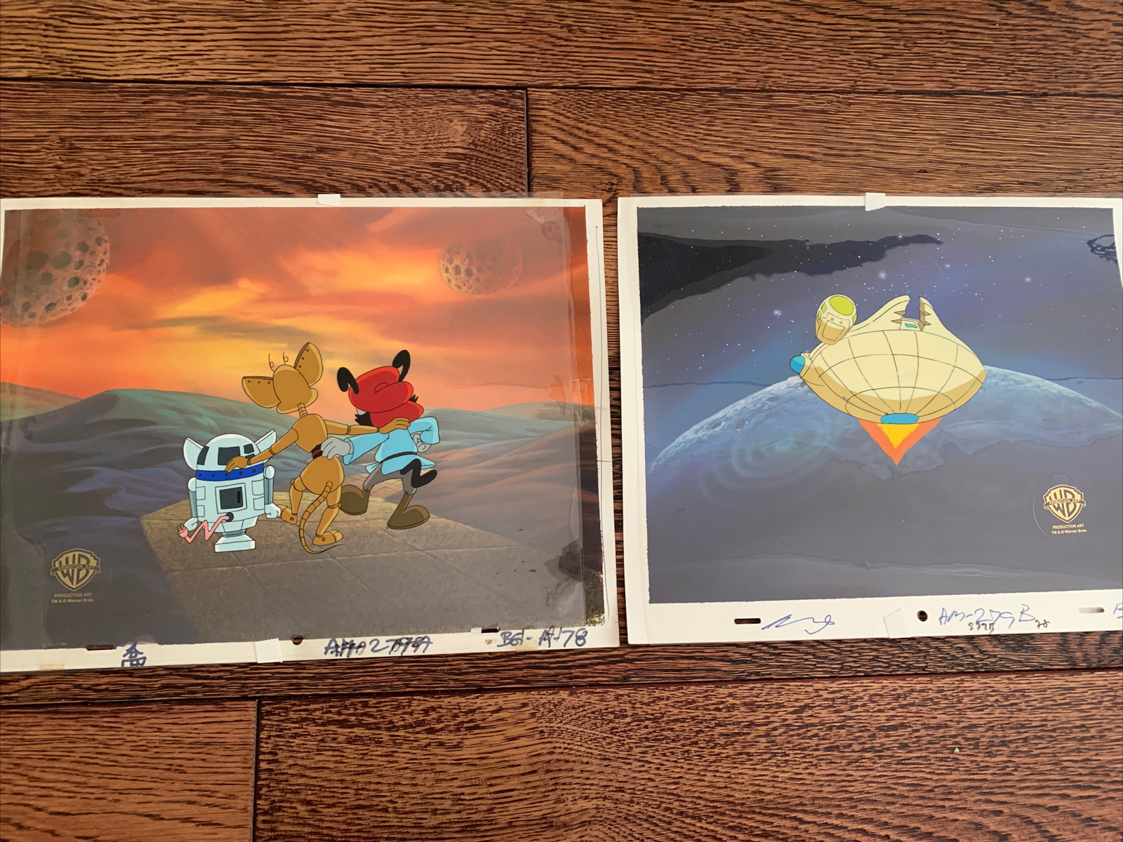 TWO Animaniacs Production cell & Production background Star Warners