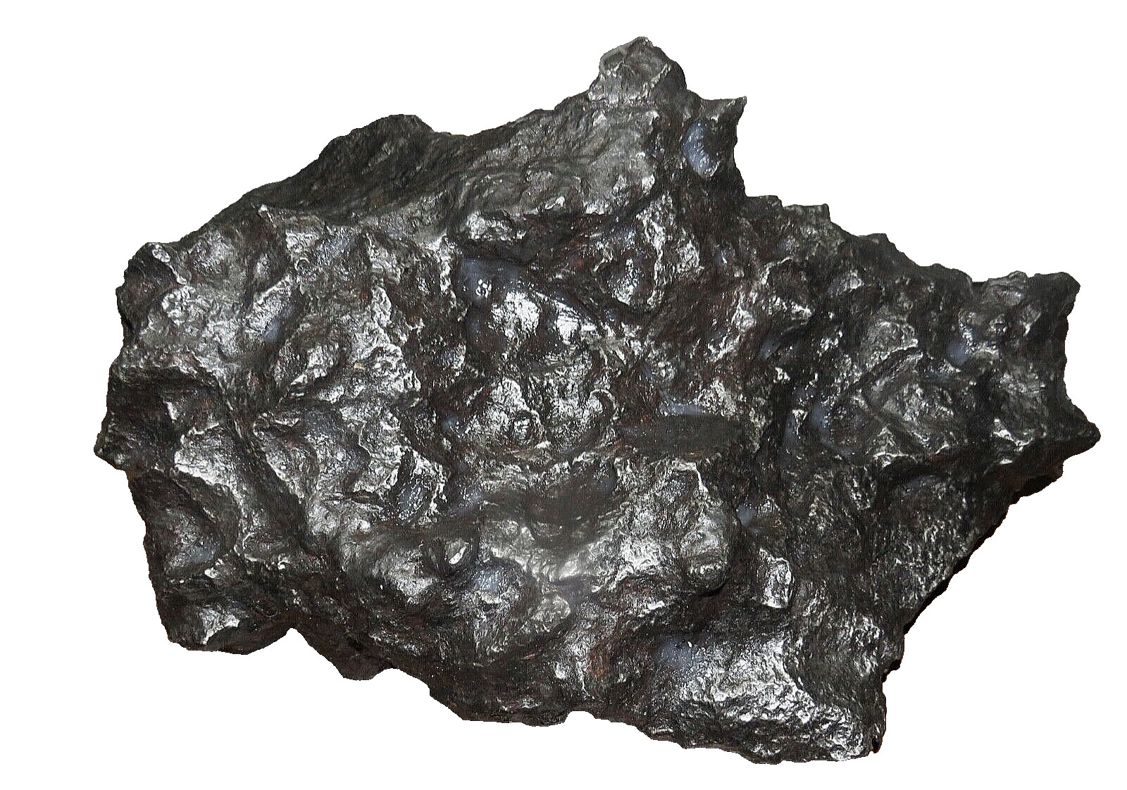 HUGE 23.5 KGM CAMPO DEL CIELO METEORITE AAA MUSEUM GRADE 51.7 LBS ORIENTED JAL HUGE 23.5 KGM CAMPO DEL CIELO METEORITE AAA MUSEUM GRADE 51.7 LBS ORIENTED JAL