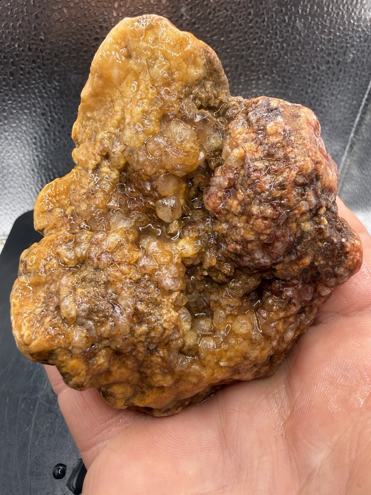 Ancient Fossilized Indiana Geode Crinoid Calyx Golden Quartz Agate 1,700 Carats Ancient Fossilized Indiana Geode Crinoid Calyx Golden Quartz Agate 1,700 Carats