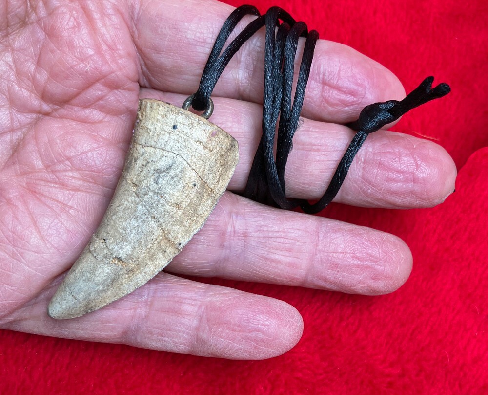 2 3/8 Inch Tyrannosaurus rex Serrated Tooth REPLICA Necklace Pendant #409 2 3/8 Inch Tyrannosaurus rex Serrated Tooth REPLICA Necklace Pendant #409