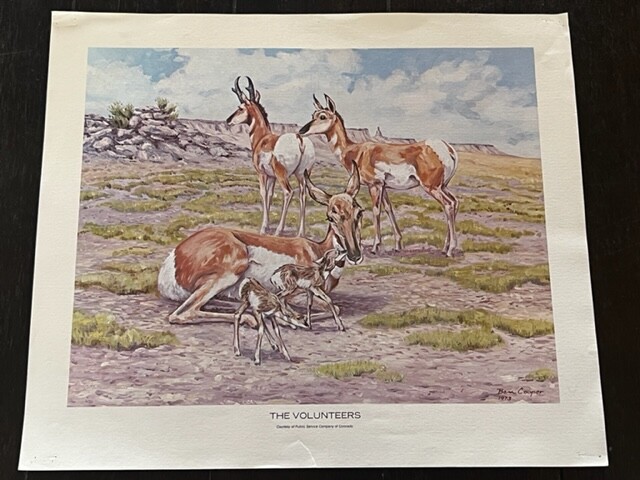 Ben Cooper Western Art Cowboy Animal Print 14X11 Volunteer Antelope Deer Doe BC3 Ben Cooper Western Art Cowboy Animal Print 14X11 Volunteer Antelope Deer Doe BC3