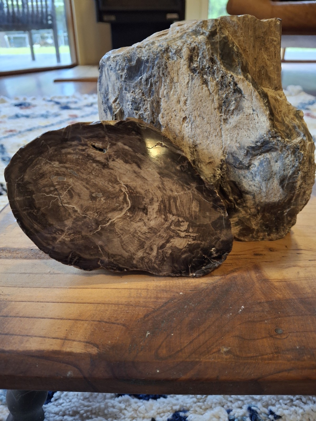 Opalized/Petrified Wood, Polished slab Natural Form, Jurassic Period, Opalized/Petrified Wood, Polished slab Natural Form, Jurassic Period,